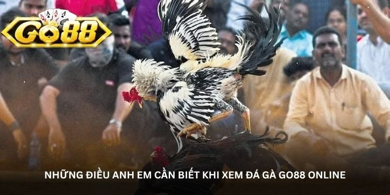 Đá gà Go88 - Đỉnh cao giải trí trực tuyến dành cho người mê